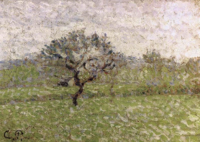 Camille Pissarro Apple Norge oil painting art